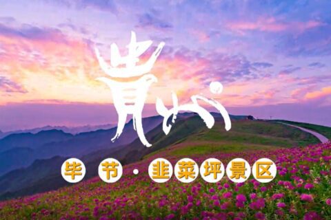 境內城市旅游形象央視廣告須提供證明文件